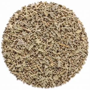 Salvia