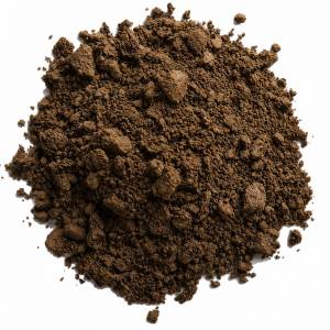 Hojicha