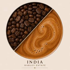Café India Harley Estate