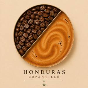 Café India Honduras Copantillo